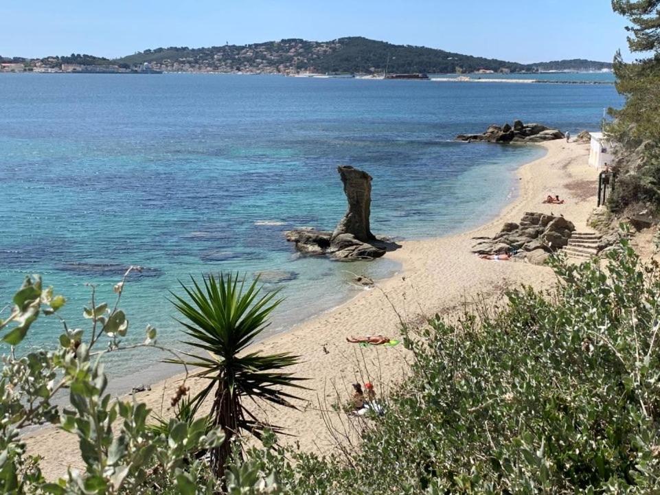 Superbe Appartement Proche Gare Toulon Exterior foto